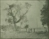 An illustration from Ohio archæological and historical publications (1887)