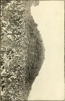 An illustration from Ohio archæological and historical publications (1887)