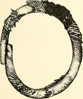 An illustration from Ohio archæological and historical publications (1887)