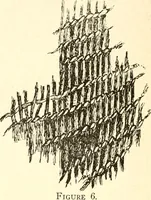 An illustration from Ohio archæological and historical publications (1887)