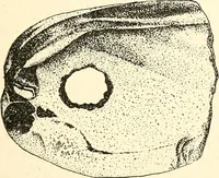 An illustration from Ohio archæological and historical publications (1887)