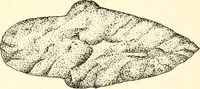 An illustration from Ohio archæological and historical publications (1887)