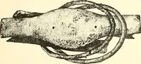 An illustration from Ohio archæological and historical publications (1887)