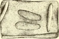 Picture 63 of 72 from Ohio archæological and historical publications (1887), leaf 479