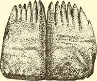 An illustration from Ohio archæological and historical publications (1887)
