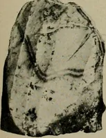 An illustration from Ohio archæological and historical quarterly (1887)