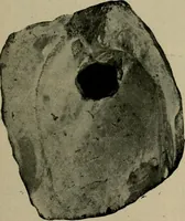 An illustration from Ohio archæological and historical quarterly (1887)