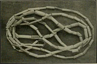 An illustration from Ohio archæological and historical quarterly (1887)