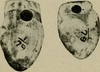 An illustration from Ohio archæological and historical quarterly (1887)