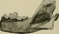 An illustration from Ohio archæological and historical quarterly (1887)