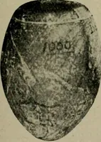 An illustration from Ohio archæological and historical quarterly (1887)