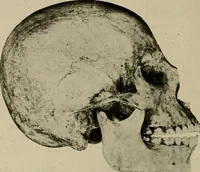 An illustration from Ohio archæological and historical quarterly (1887)