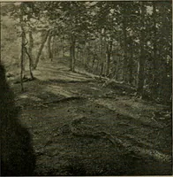 An illustration from Ohio archæological and historical quarterly (1887)