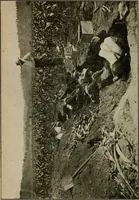An illustration from Ohio archæological and historical quarterly (1887)