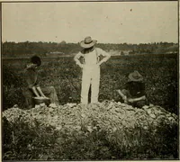 An illustration from Ohio archæological and historical quarterly (1887)