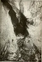 An illustration from Ohio archæological and historical quarterly (1887)