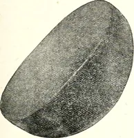 An illustration from Ohio archæological and historical quarterly (1887)