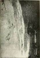 An illustration from Ohio archæological and historical quarterly (1887)