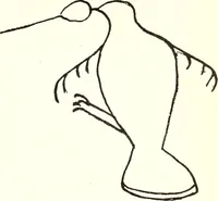 An illustration from Ohio archæological and historical quarterly (1887)