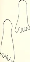 An illustration from Ohio archæological and historical quarterly (1887)