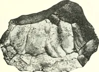 An illustration from Ohio archæological and historical quarterly (1887)