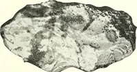 An illustration from Ohio archæological and historical quarterly (1887)