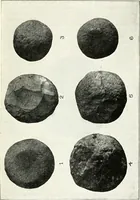 An illustration from Ohio archæological and historical quarterly (1887)