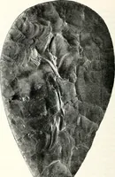 An illustration from Ohio archæological and historical quarterly (1887)