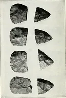 An illustration from Ohio archæological and historical quarterly (1887)