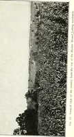 An illustration from Ohio archæological and historical quarterly (1887)