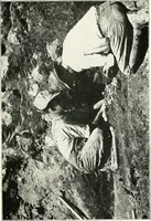 An illustration from Ohio archæological and historical quarterly (1887)