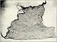 An illustration from Ohio archæological and historical quarterly (1887)