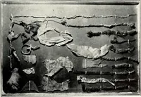 Picture 12 of 86 from Ohio archæological and historical quarterly (1887), leaf 30