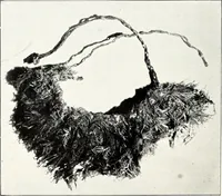 An illustration from Ohio archæological and historical quarterly (1887)