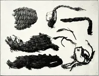 Picture 26 of 86 from Ohio archæological and historical quarterly (1887), leaf 49