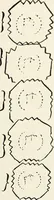 An illustration from Ohio archæological and historical quarterly (1887)