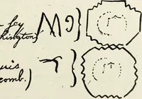 Picture 31 of 61 from Ohio archæological and historical quarterly (1887), leaf 158