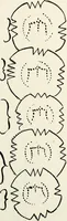 Picture 36 of 61 from Ohio archæological and historical quarterly (1887), leaf 164