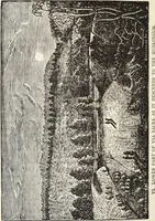 An illustration from Ohio archæological and historical quarterly (1887)