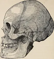 An illustration from Ohio archæological and historical quarterly (1887)