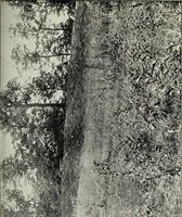 An illustration from Ohio archæological and historical quarterly (1887)