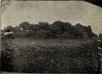 An illustration from Ohio archæological and historical quarterly (1887)