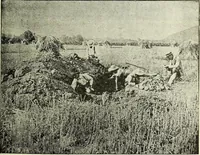 An illustration from Ohio archæological and historical quarterly (1887)