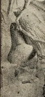An illustration from Ohio archæological and historical quarterly (1887)
