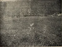 An illustration from Ohio archæological and historical quarterly (1887)