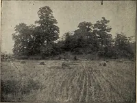 An illustration from Ohio archæological and historical quarterly (1887)