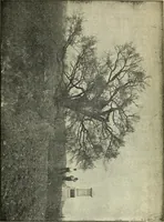 An illustration from Ohio archæological and historical quarterly (1887)