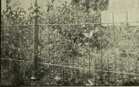 An illustration from Ohio archæological and historical quarterly (1887)