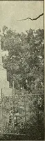 An illustration from Ohio archæological and historical quarterly (1887)