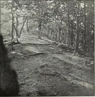 An illustration from Ohio archæological and historical quarterly (1887)